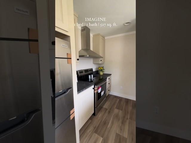 Clayton Home Tour: Imagine | 1 bed, 1 bath