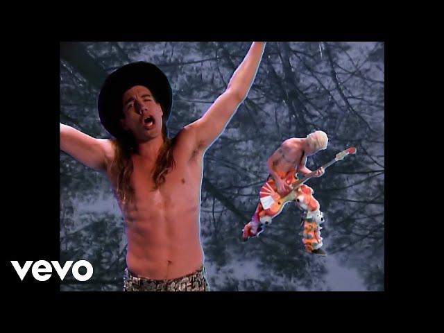 Red Hot Chili Peppers - Higher Ground