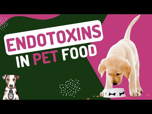 Endotoxins in Pet Food with Amy Renz of Goodness Gracious Pet Foods