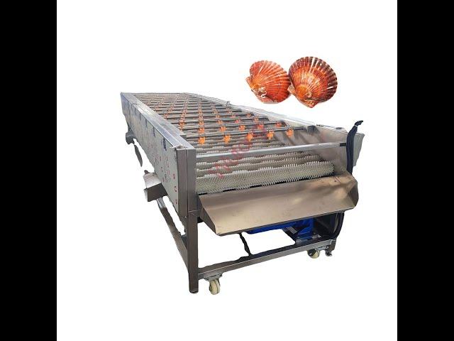 Industrial Brush Type Water Circulation Fruit Sweet Potatos Washing Machine