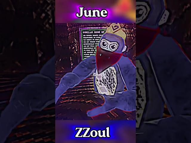 Your month your gtag YouTuber Part 2. @Cubcub11 @RakzzVR @burpsygt @BloopVR ​⁠@ZZoulGTag