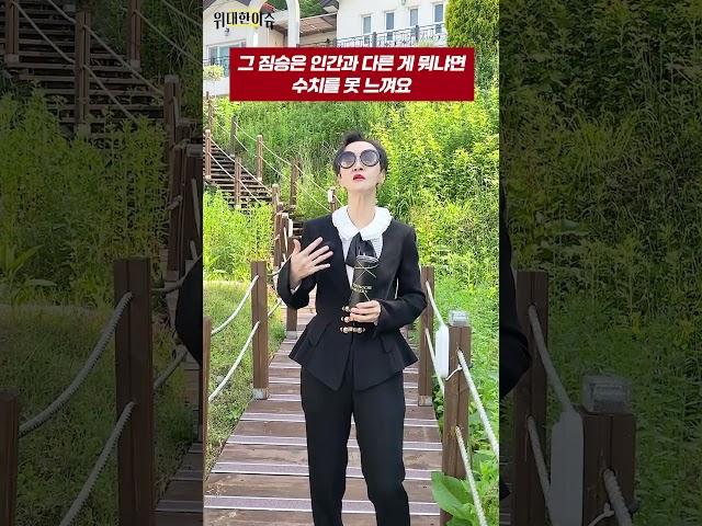 '#방탄 독재', '#젓가락', '#윤석열 아바타' 등 마지막 토론도 네거티브 난타전이었다는 비난 여론｜어떻게 보시나요? #이혜라 #shorts