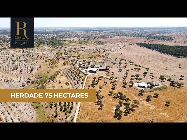 Herdade com 75 hectares no Alto Alentejo | Ref. 260