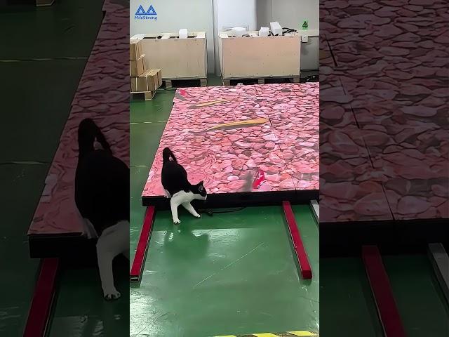 What are the characteristics of the interactive LED floor tile screen? #leddisplay #shortvideo#led