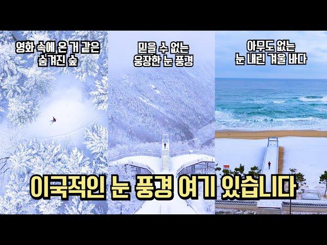 12월 국내 여행 겨울 왕국 눈꽃 세상 여행 추천 BEST #국내여행 #여행추천