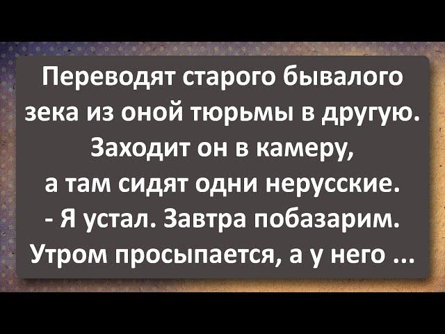 Бывалый Зек и Двое Нерусских в Хате! Сборник Самых Свежих Анекдотов!