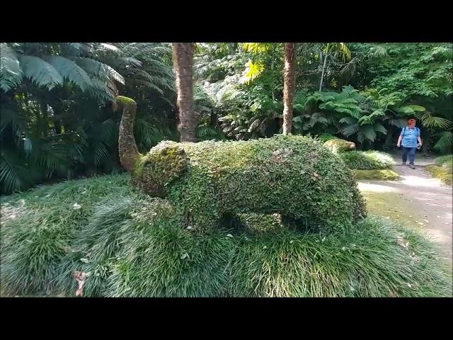 Terra Nostra Park / Furnas / Sao Miguel