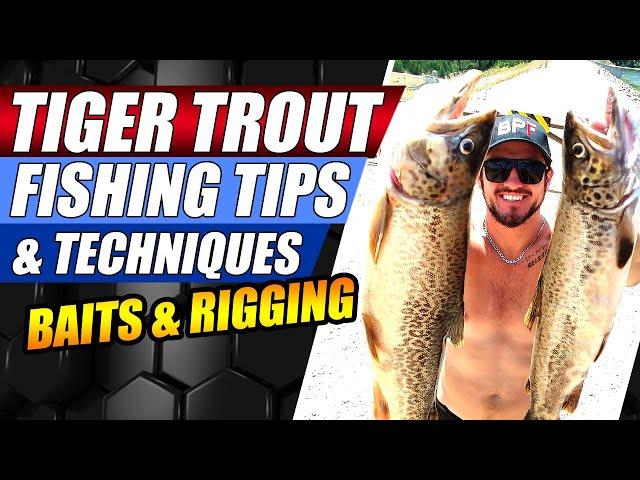 Tiger Trout Fishing Tips - Tiger Trout tips and Tricks - Rainbow Trout - Shore Fishing Tips