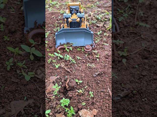 Collecting Millipede #millipede #rcbulldozer #rc #shorts #viral #insects