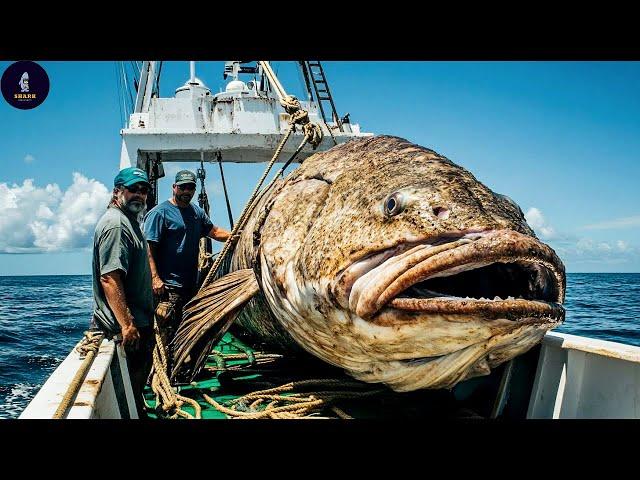 Grouper Can Prey On Animals Larger Than Themselves - Grouper Survival | Fishing Documentary