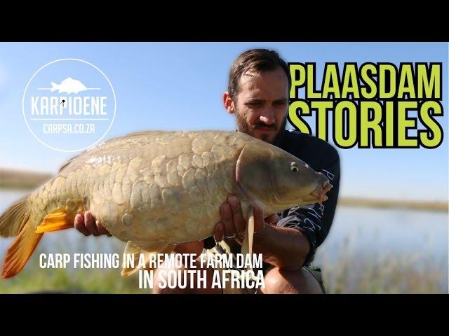 Plaasdam Stories part 1- Karpioene 2017