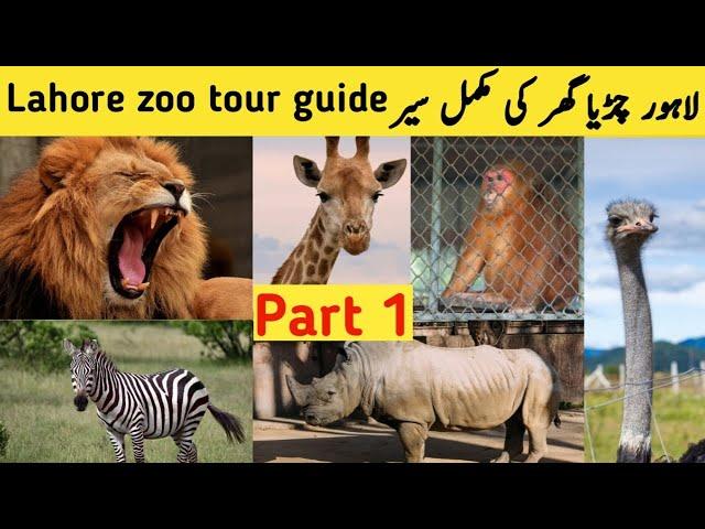 Lahore Zoo visit 2023 Part1 | Lahore zoo animals 2023 | Wild Park lahore 2023