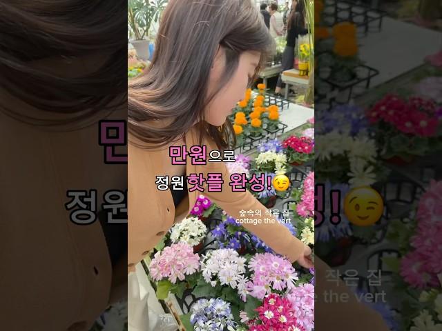 단돈 만원으로! 정원이 핫플 완성!공동구매 중꼭 보고가세요