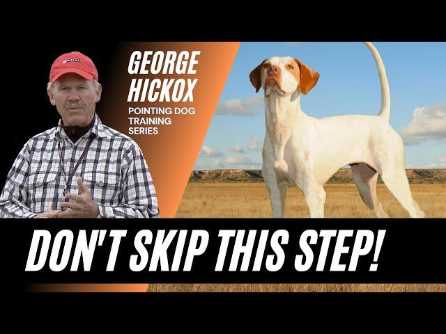 Pointing Dog Training - The Flyaway Drill by George Hickox