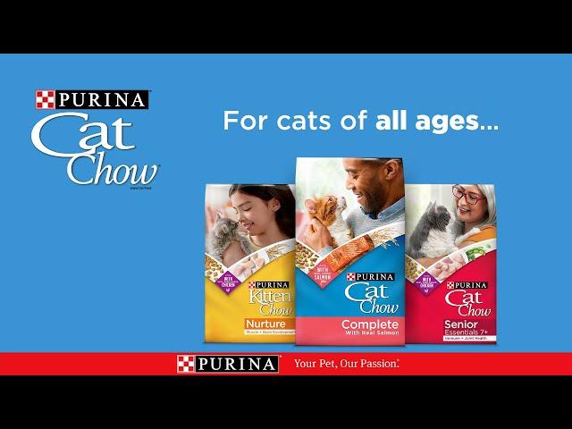 Purina Cat Chow for Cats of All Ages