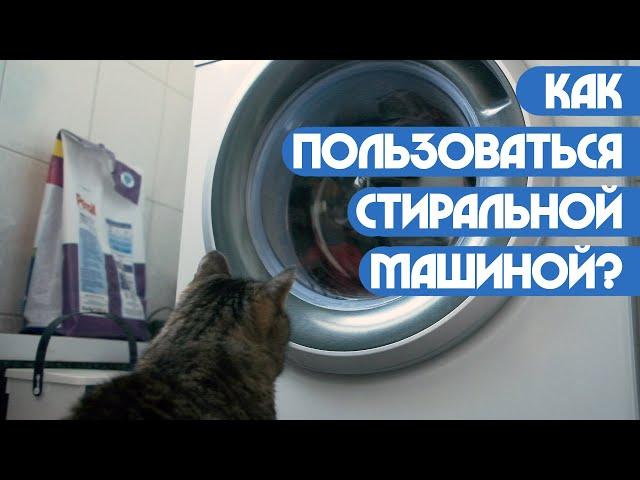 Как пользоваться стиральной машиной? (Пап, а как?)