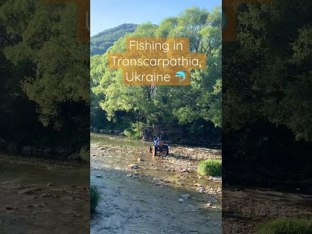 Fishing in Transcarpathia  Ukraine #gardening #ukraine  #fishing #fish #karpaty #poland