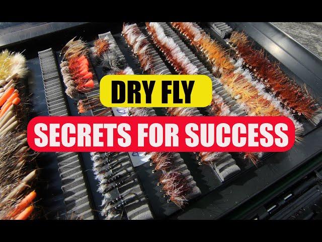 Dry Fly The Secrets To Success!