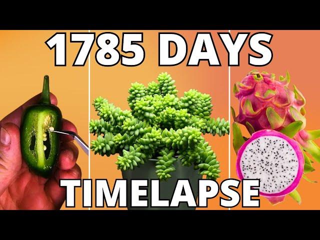 Nature's Ultimate Timelapse Compilation 2024: Plants & Ecosystems Unveiled!