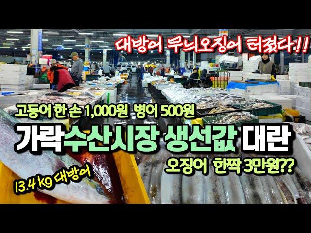 미친가격?? 생선값 왜이래? 가락동수산시장 난리났다! 고등어 한 손 1000윈 병어 500원 갈치 550원 조기 600원  오징어 1짝 3만원?