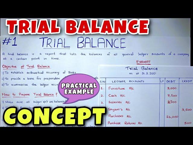 Trial Balance - Concept & Problem - Class 11 / B.COM / CA Foundation