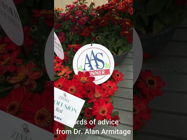 Dr. Allan Armitage explains All America Selections