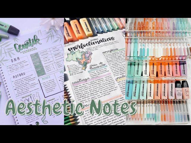 Aesthetic Notes | Tik Tok Compilation!