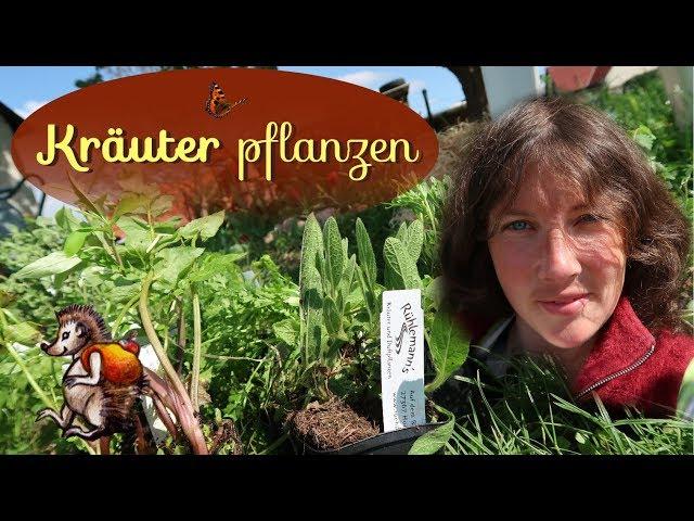 Kräuter pflanzen im Garten | Unboxing Rühlemanns Kräuter