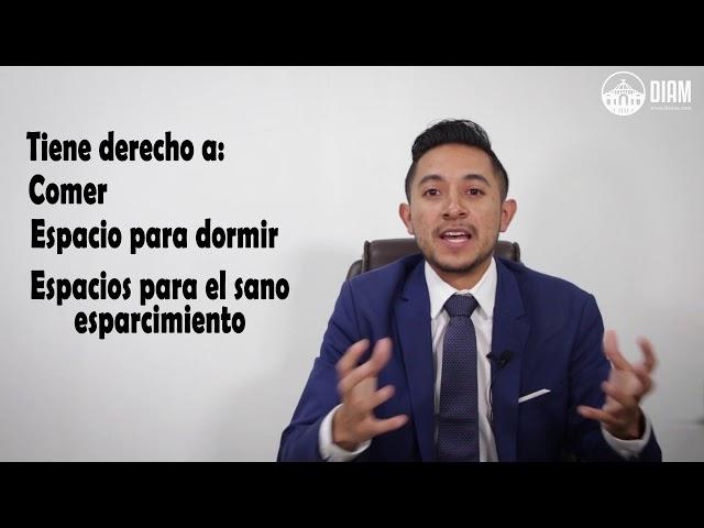 CARTA INVITACIÓN: Formas de ingresar legalmente a México - Abogados Migratorios DIAM S.C.