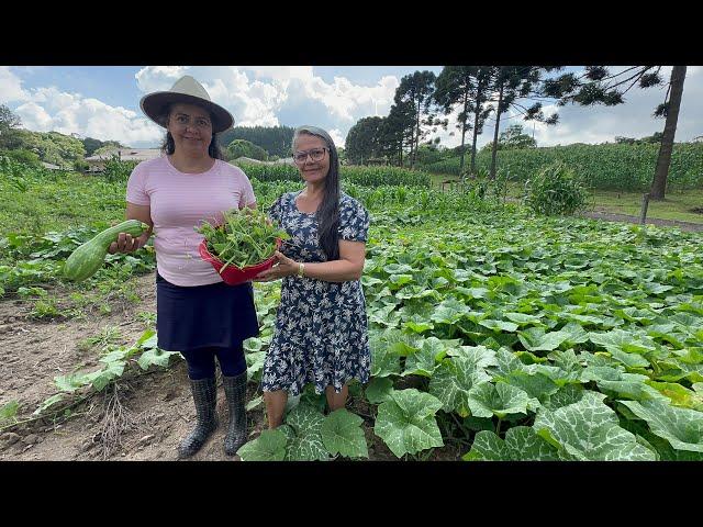 Hoje dia de comer cambuquira  na chácara da tia Eliane em mandirituba Pr