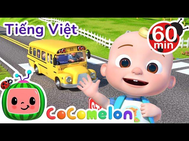 Những Bánh Xe Buýt | CoComelon Lồng tiếng việt - Karaoke dành cho trẻ em  | Nhạc thiếu nhi vui nhộn