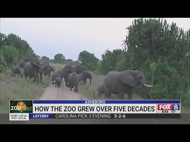 The growth of the North Carolina Zoo