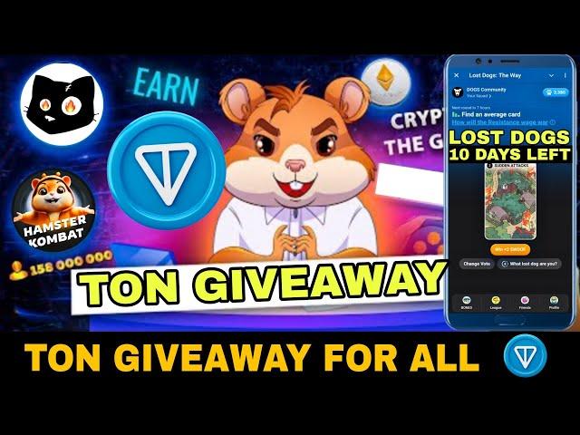 Ton Giveaway For All | Hamster Kombat ,Cats | Withrawl Gas Fees | #hamsterkombat #catslisting