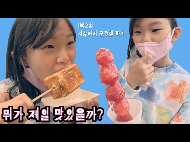 vlog 뭐가 제일 맛있을까?  라임가족 속초여행 먹방 투어 Korea Sokcho Travel Food Tour