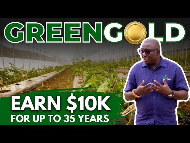 The Hidden Benefits of Greenhouse Agriculture in GHANA Revealed!!!