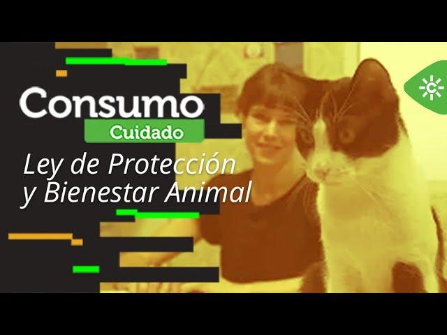 Consumo Cuidado | Ley de Protección y Bienestar Animal