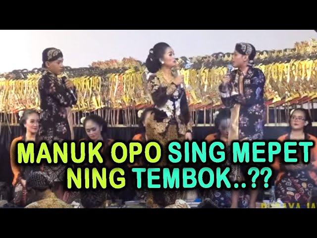 Percil Cs lucu poll lurd - Manuk opo sing paling cilik cil..??