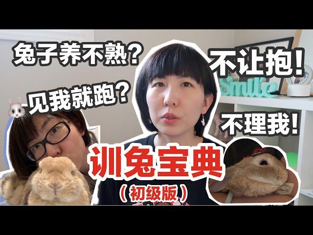 新手养兔-如何养出亲人的兔兔? 99%养兔人会犯的错误！抱兔子的正确步骤- 兔子不理我怎么办? 新手兔奴的9点经验大公开. 兔子不理我怎么办?