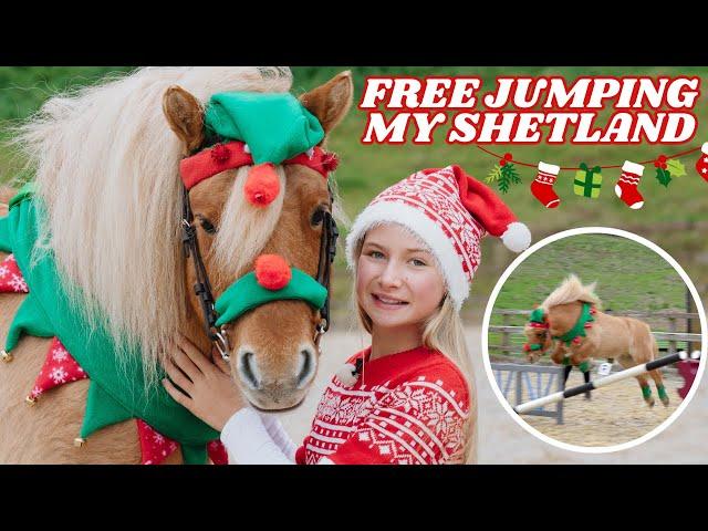 FREE JUMPING CLOUDY MY SHETLAND PONY! HARLOW'S VLOGMAS