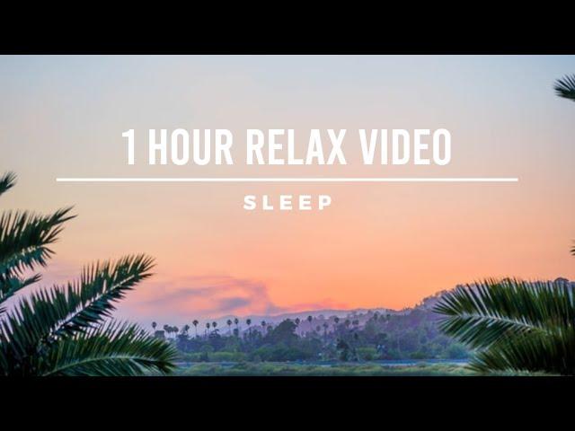 Relax Music Video | Sleep Music Video | RelaxTube