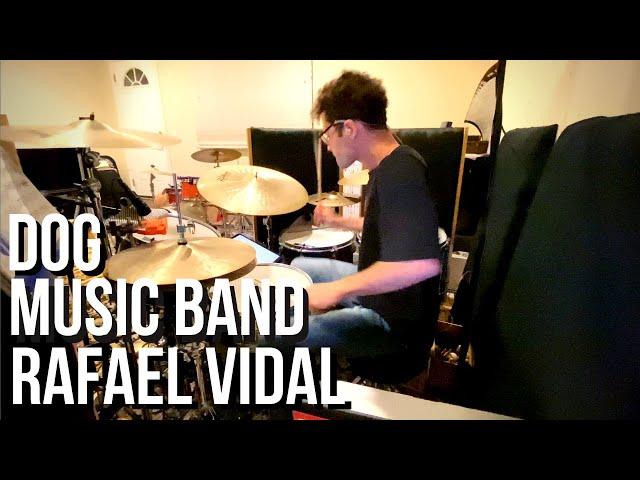 Dog - Music Band - Drum Cover - Rafael Vidal