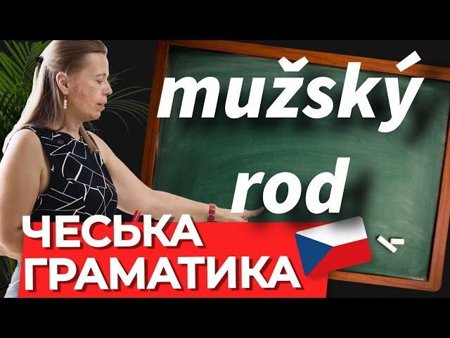 Іменники чоловічого роду множини в чеській мові. Чеська граматика.