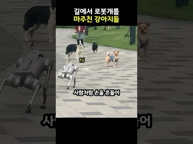로봇개를 마주친 강아지들의 반응 #shorts 동물 #강아지 #인공지능 #귀여운 #유머