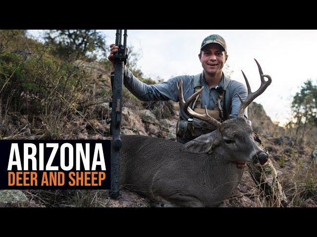 2022 Arizona Deer & Sheep Application Strategy (How to)