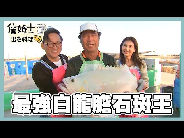 《精選詹姆士棒的-特輯EP40》澎湖現撈季節海鮮吃到飽!北門巨無霸生蠔、白龍膽石斑與爆膏大閘蟹 全台海為大搜索