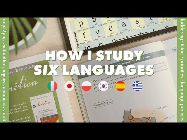 How I'm learning six languages | priorities, schedule, goals