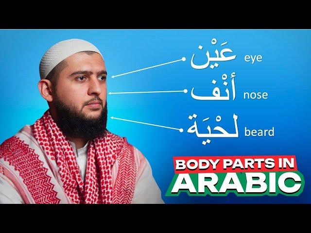 Body parts in Arabic | Learn Arabic Easy