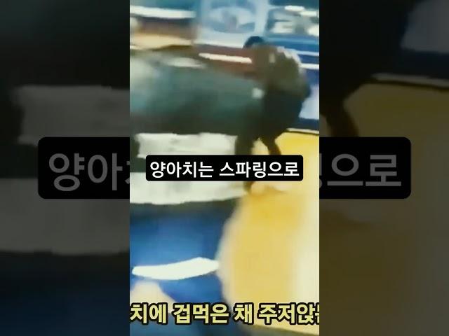 양아치 참교육 ㅣ스파링은 합법적인 맴매?