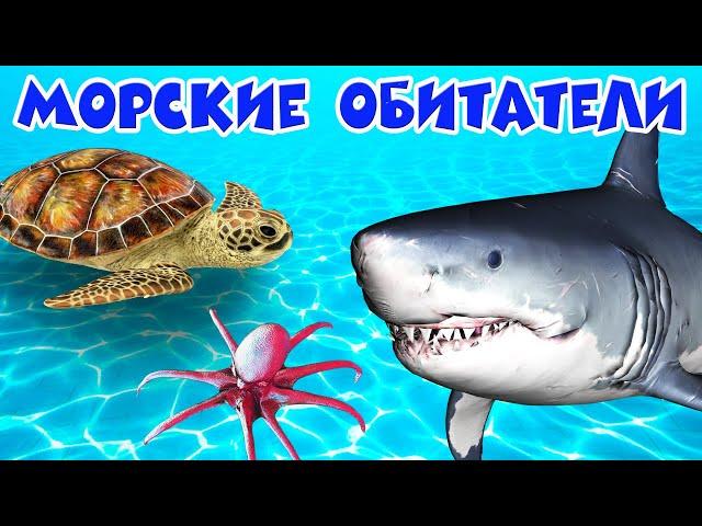 Обитатели морей и океанов  Развивающие мультики  Морские животные  Подводный мир