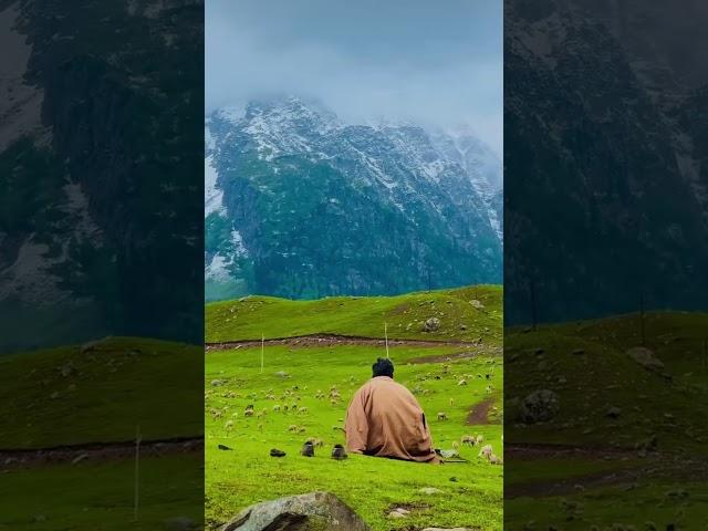Finding peace and tranquility in the valley.